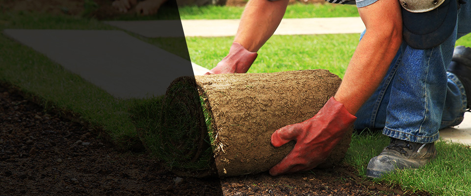 Weimar Landscapers